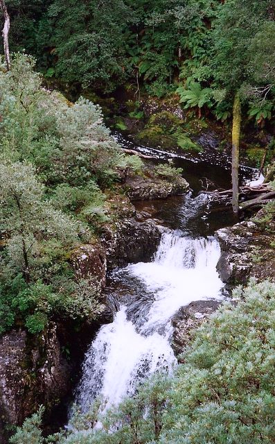 Gloucester_River